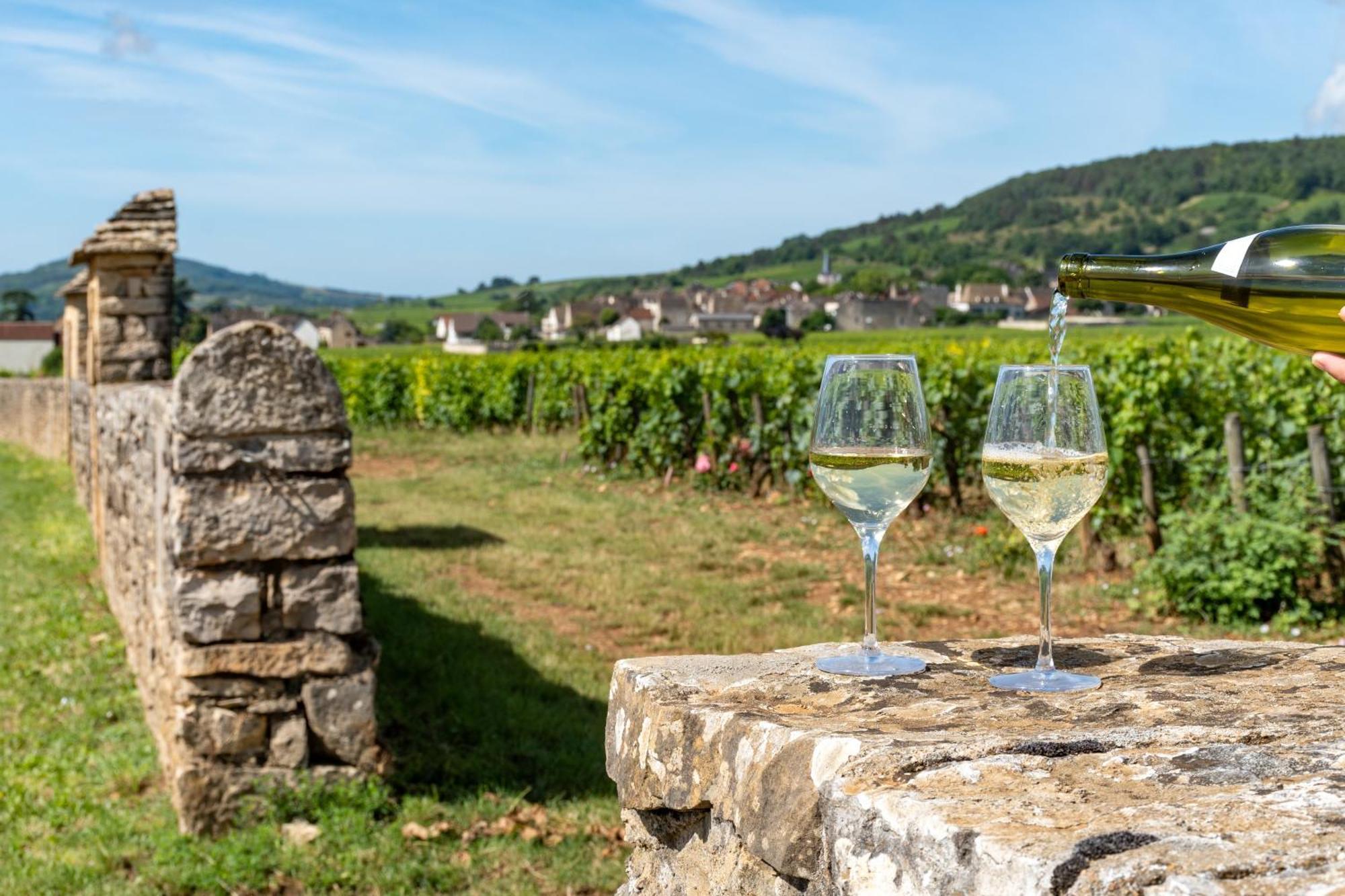 Charmante Maison Climatisee Avec Son Jardin A 10 Minutes De Dijon Марсанне-ла-Кот Экстерьер фото